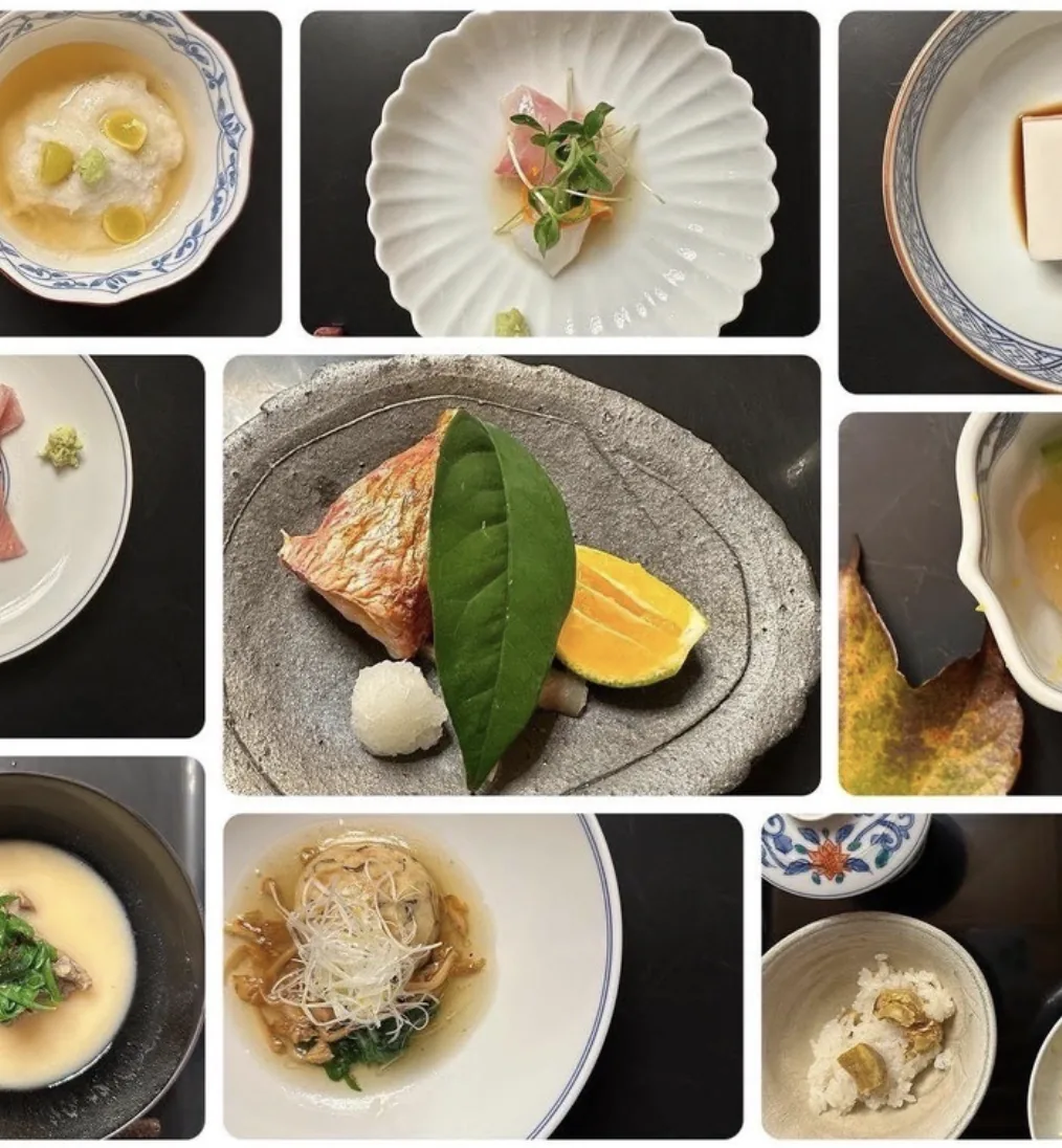 Japanese cuisine variety - collection of authentic dishes